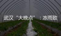 武汉“大晚点”：冻雨致冰的高铁难题
