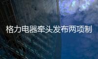 格力电器牵头发布两项制冷压缩机国际标准 董明珠
：消费者的需要才是真正的标准