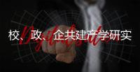 快排公司十年历程，霸屏兔 seo 的崛起与坚守
