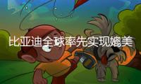 比亚迪全球率先实现媲美L4级智能泊车，承诺中国市场全面兜底