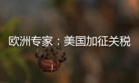 欧洲专家：美国加征关税将伤及自身 贸易战没有赢家
