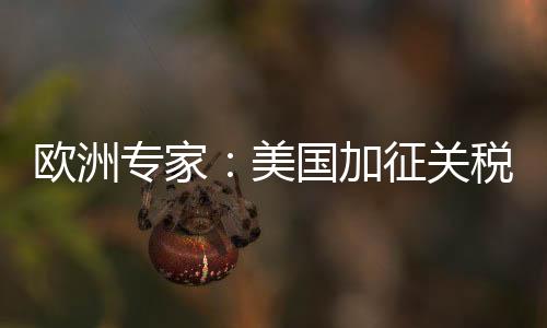 还是身贸一个灵巧的最后期限