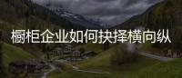 橱柜企业如何抉择横向纵向发展？