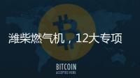 潍柴燃气机	，12大专项服务政策超越期待！