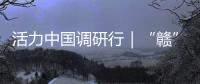 活力中国调研行｜“赣”出美丽！这里的乡村景美民富