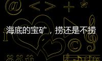 海底的宝矿，捞还是不捞？｜世界海洋日