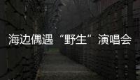 海边偶遇“野生”演唱会！珠海的夜晚 总有意想不到的惊喜