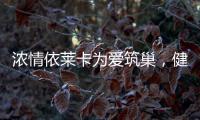 浓情依莱卡为爱筑巢�，健康全铝家居感恩天下母亲!