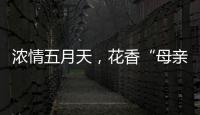 浓情五月天
，花香“母亲节”
！担杆镇海岛之家开展母亲节插花活动