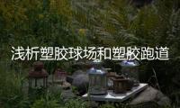 浅析塑胶球场和塑胶跑道鼓起气泡的原因