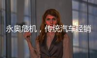 永奥危机，传统汽车经销商之困