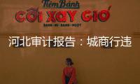 河北审计报告：城商行违规放贷406亿，344辆公务用车被违规租赁
