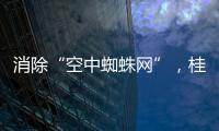 消除“空中蜘蛛网”，桂山镇整治“头顶难题”见成效