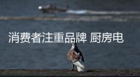 消费者注重品牌 厨房电器企业杜绝山寨风
