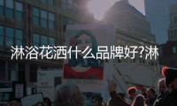 淋浴花洒什么品牌好?淋浴花洒使用注意事项