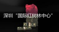 深圳“国际红树林中心”连接米埔 候鸟天堂