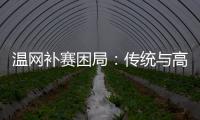 温网补赛困局	：传统与高温下的赛程危机