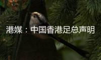 港媒：中国香港足总声明陈晋一已返回申花；无其他球员被召回