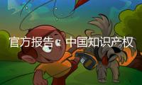 快排公司十年历程，霸屏兔 seo 的崛起与坚守