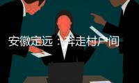 安徽定远
：奔走村户间 算好脱贫账