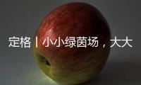 定格丨小小绿茵场�，大大足球梦！是什么，让这群孩子有哭有笑？