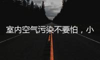 室内空气污染不要怕
	，小海鸥贝壳粉还你清新空气!