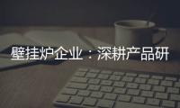 壁挂炉企业：深耕产品研发 把握消费需求
