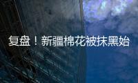 复盘	！新疆棉花被抹黑始末