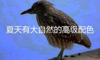 夏天有大自然的高级配色
，一起迎接充满活力的盛夏