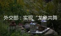 外交部：实现“龙象共舞”是中印两国唯一正确的选择