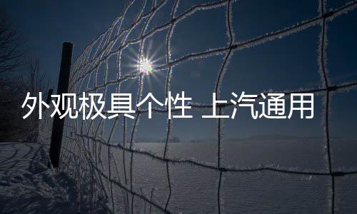 使新车视觉上更具新潮属性