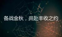 备战金秋，共赴丰收之约！潍柴WP6/WP7H收获机动力批量交付
