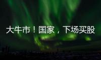 大牛市�！国家，下场买股票