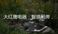 大红鹰电器
：智感厨房，智慧非凡�，解锁智能新生活