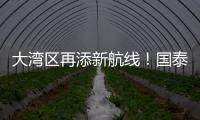 大湾区再添新航线！国泰乌鲁木齐—香港直飞航线起航