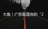 大鱼！广东最适合的“2米暴力锋线”曝光，这可是08级天赋第一人