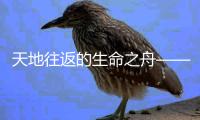 天地往返的生命之舟——神舟十二号载人飞船看点解析