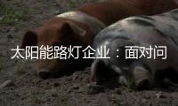 太阳能路灯企业：面对问题要善于抓重点