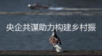 央企共谋助力构建乡村振兴新格局