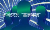 多地突发“雷暴哮喘”：半小时内发作�，蒿属花粉或为元凶