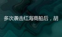多次袭击红海商船后，胡塞武装将如何收场	？丨军事