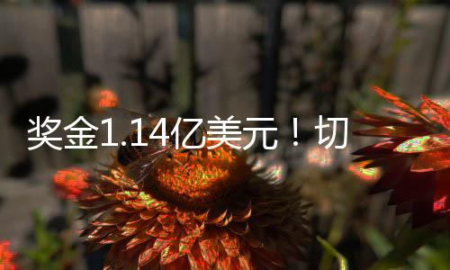 尔西巴黎圣日耳曼第43分钟