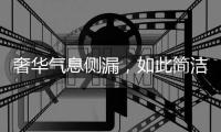 奢华气息侧漏，如此简洁竟还显得这么高贵!