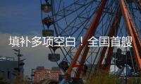 填补多项空白
！全国首艘氢电拖轮入列