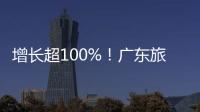 快排公司十年历程，霸屏兔 seo 的崛起与坚守