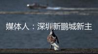 媒体人：深圳新鹏城新主帅很快将官宣，有中国联赛执教经验