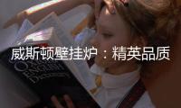 威斯顿壁挂炉：精英品质 温暖你我