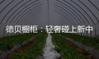 德贝橱柜
：轻奢碰上新中式 缔造专属的优雅