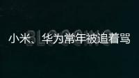 小米、华为常年被追着骂�？前魅族高管李楠撕了车圈的遮羞布
！