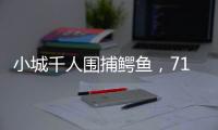 小城千人围捕鳄鱼
，71条已全部查明和追回
